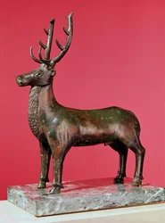 Stag
